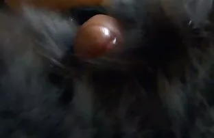 XXX 最高の日本人 女の子 の アダルト 動画