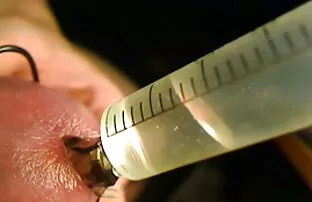 XXX ゾーイ、パメラ、ロザリンと 女の子 用 アダルト 動画